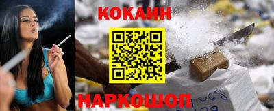 гашик Кинель