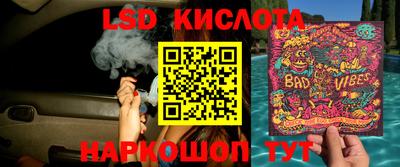 шишки Кимры