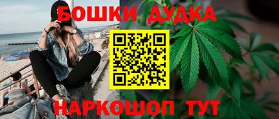 гашик Кинель