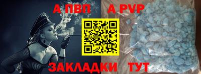 шишки Кимры