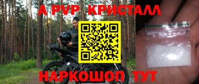 шишки Кимры