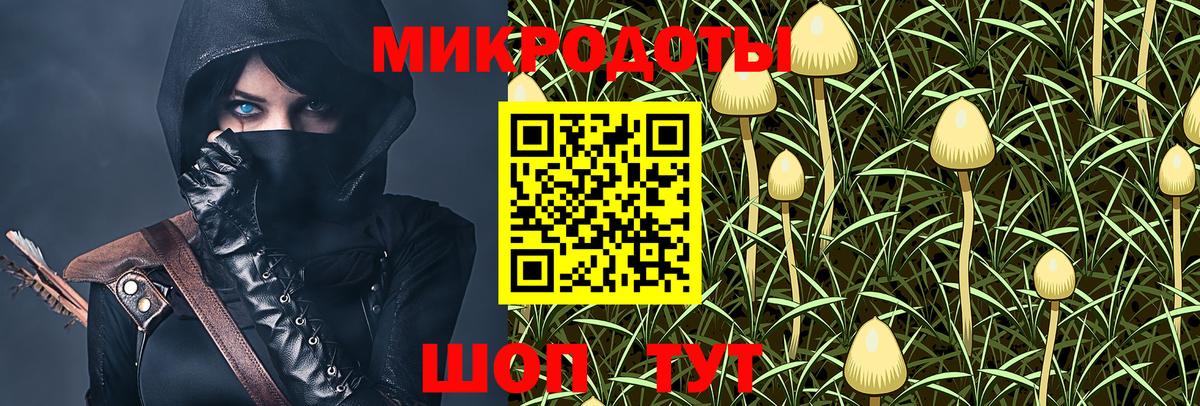 Галлюциногенные грибы мицелий  Галлюциногенные грибы Psilocybine cubensis  где купить наркотик  Вход с VPN  Лабытнанги 